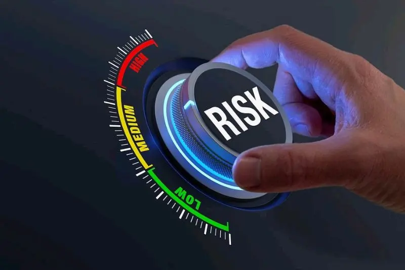 disadvantages risks